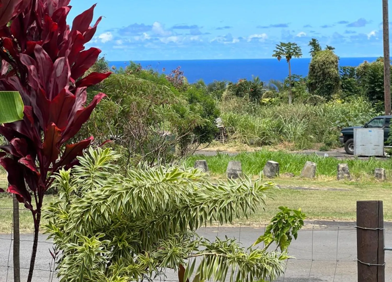 Private Ohana On The Lush Hamakua Coast With Ac Honokaa 0*,